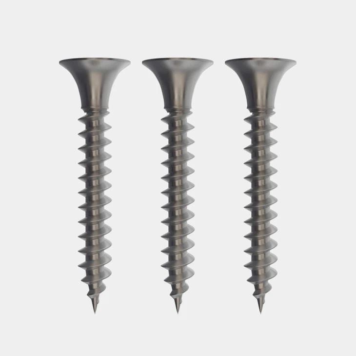 Stainless Steel Drywall Screws-AYA FASTENERS